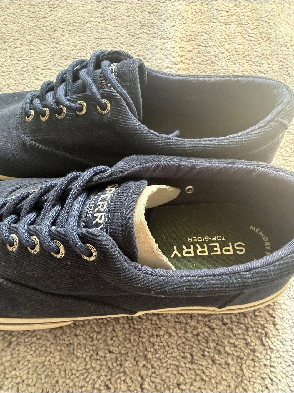 Sperry Men's Dark Navy Canvas Boat Shoes